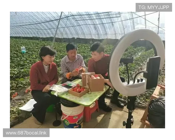 鞍山电视台在线直播高清观看平台